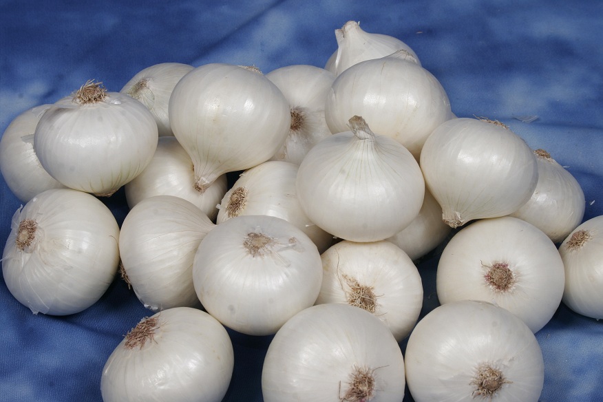 Fresh-White-Onion